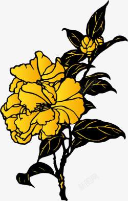 一朵黄色花素材