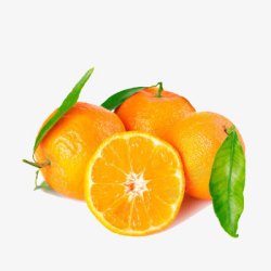 橘子一半金桔子叶子素材