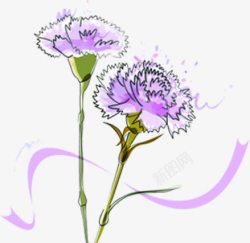 紫色水彩线条花朵康乃馨素材