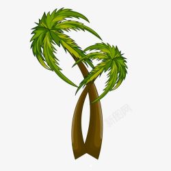 海南绿色生物椰子树素材
