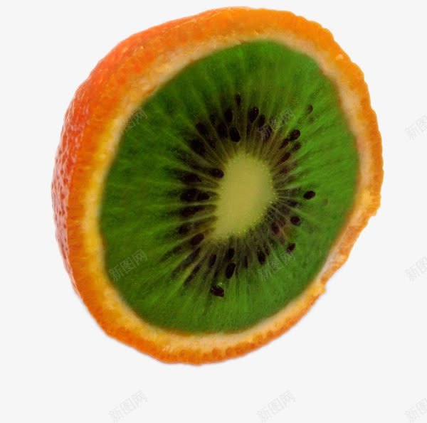 橙子和猕猴桃结合psd免抠素材_88icon https://88icon.com 创意 奇异果 杂交 橙子 猕猴桃