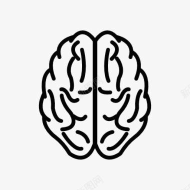 人脑图片人脑图标图标
