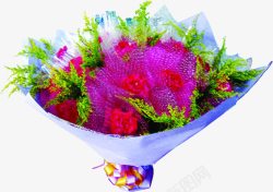 紫色康乃馨花束礼物素材