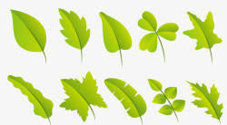 扁平化绿色装饰树叶矢量图素材