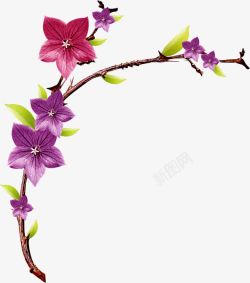 粉紫色春天清新花朵素材