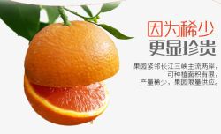 新鲜水果橙子宣传广告素材