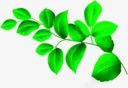植物绿色树叶小清新海报素材