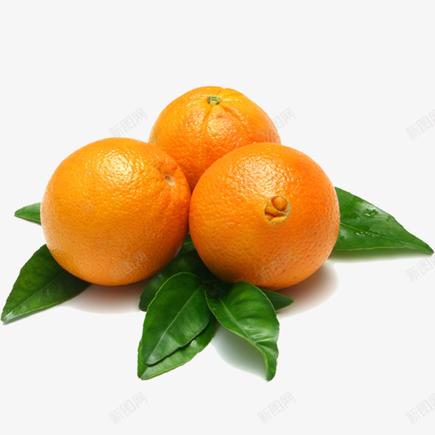 黄色橙子png免抠素材_88icon https://88icon.com 三个橙子 叶子 水果 黄色