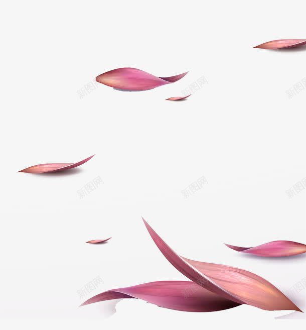 粉色花瓣png免抠素材_88icon https://88icon.com 植物 紫色 花卉