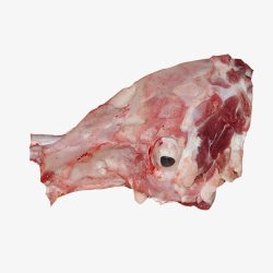 冷冻猪骨头冷冻的猪骨头高清图片