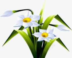 白色卡通花朵植物春天素材