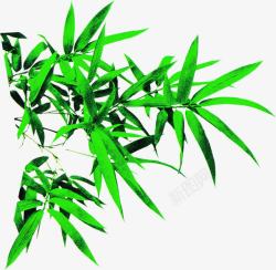 绿色环保竹叶装饰春天素材