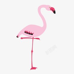 粉色火烈鸟图案素材