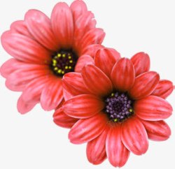 红色水墨艺术花朵节日素材