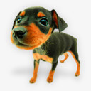 彩绘宠物小狗7图标图标