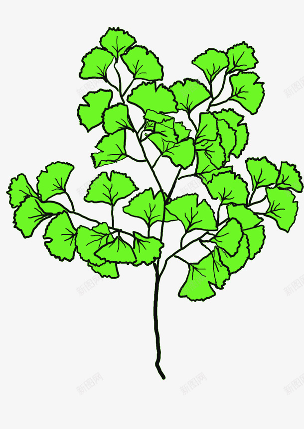 卡通手绘银杏树绿色的扇子叶png免抠素材_88icon https://88icon.com 卡通 小清新 扇子叶 手绘 手绘银杏树 杏树 绿色的叶子 银杏树