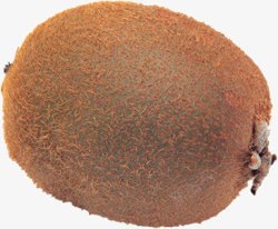 水果猕猴桃素材