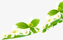 绿色白色小花植物背景png免抠素材_88icon https://88icon.com 小花植物 白色 绿色 背景