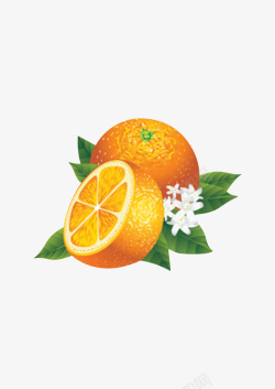新鲜水果鲜橙素材