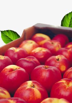 一盒水果苹果李子素材
