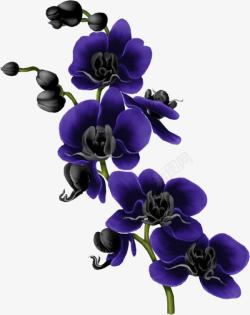 手绘紫色的蝴蝶兰素材