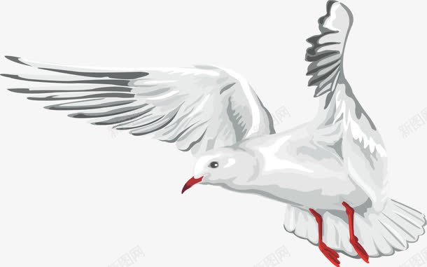 白色清新飞鸽装饰图案png免抠素材_88icon https://88icon.com 清新 白色 装饰图案 飞鸽