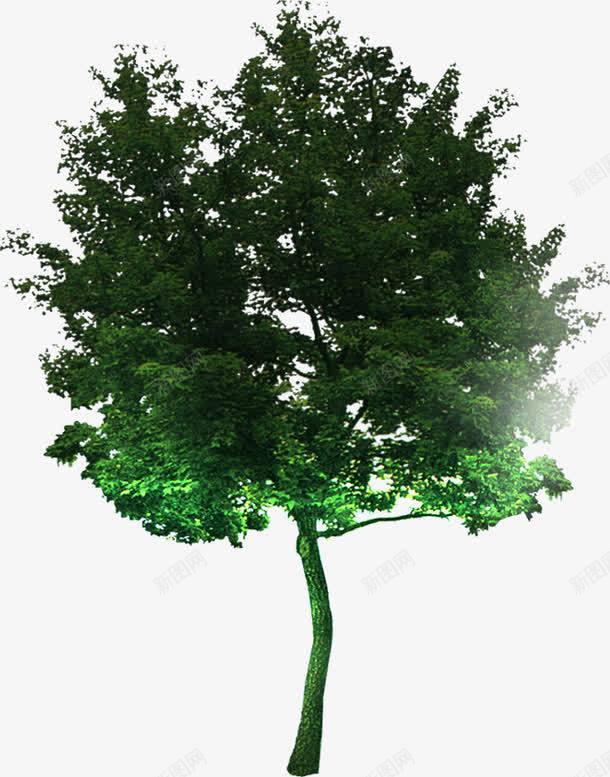 摄影创意绿色树木合成效果png免抠素材_88icon https://88icon.com 创意 合成 摄影 效果 树木 绿色