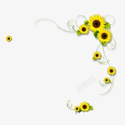 向日葵花素材