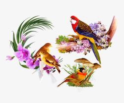 百变鹦鹉花卉装饰静物背景图案素材