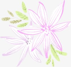 手绘粉色线条花朵纹理素材