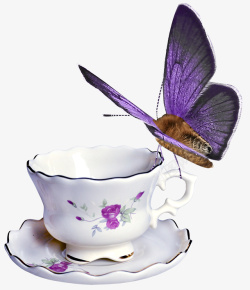 精美紫色蝴蝶杯子茶杯瓷器素材