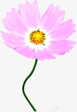 粉色手绘花朵春天朦胧素材