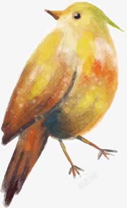 啄木鸟装饰手绘卡通素材