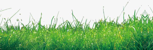 绿色清新春天生长发芽png免抠素材_88icon https://88icon.com 发芽 春天 清新 生长 绿色