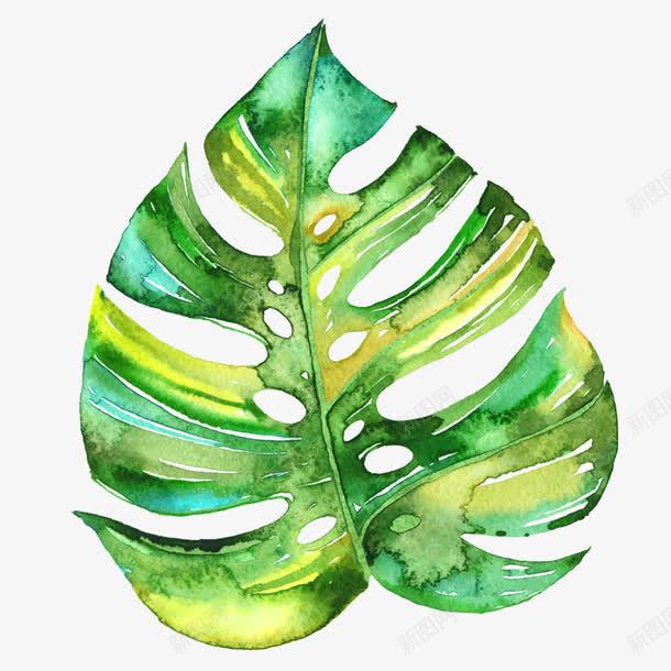 绿色水彩一片叶子装饰图案png免抠素材_88icon https://88icon.com 一片叶子 免抠PNG 水彩 绿叶 绿色 装饰图案
