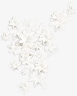 白色洁净花朵装饰素材