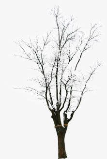 冬季树枝背景素材