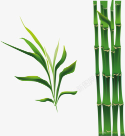 卡通绿色竹子素材