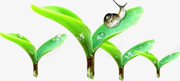 绿色环保植物发芽蜗牛png免抠素材_88icon https://88icon.com 发芽 植物 环保 绿色 蜗牛