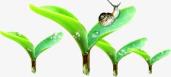绿色环保植物发芽蜗牛素材