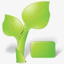 绿色叶自然有机植物绿色素材