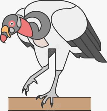 禽类鸵鸟图标图标