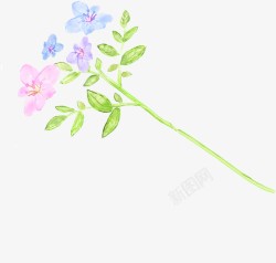 手绘蓝粉色水彩花朵素材