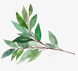 手绘的绿色树叶装饰素材