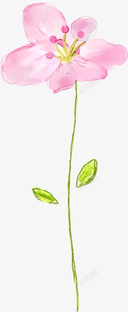 粉色水墨花朵植物插画素材