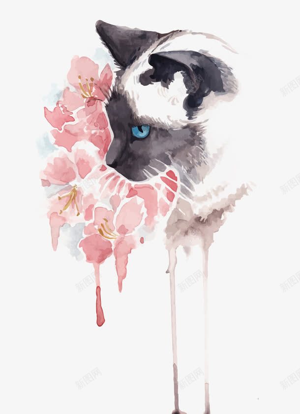 花和猫png免抠素材_88icon https://88icon.com PNG图片 PNG图片素材 PNG素材 PNG素材免费下载 水擦 猫 花朵