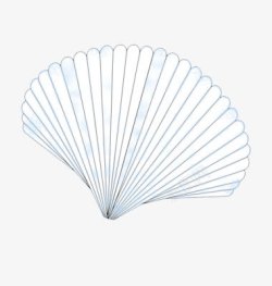 扇贝素材