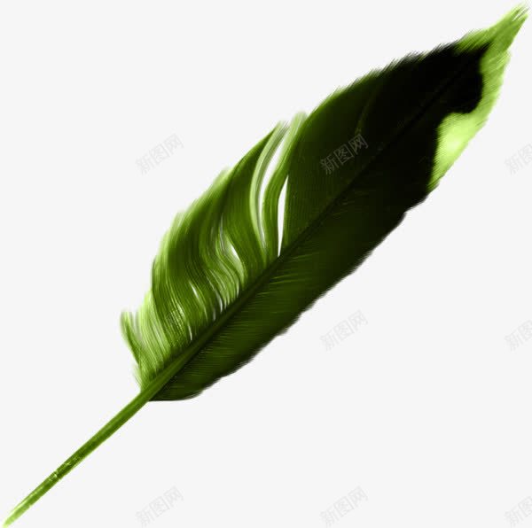 绿色羽毛毛笔png免抠素材_88icon https://88icon.com 毛笔 绿色 羽毛 鸟羽