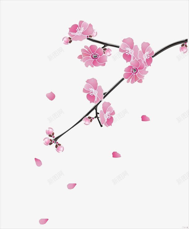 粉色的梅花png免抠素材_88icon https://88icon.com png图形 png装饰 手绘 梅花 花朵 装饰