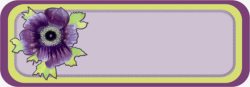 紫色小花姓名框素材